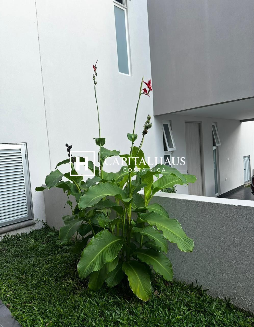 Casa Nasara Santa Ana 13