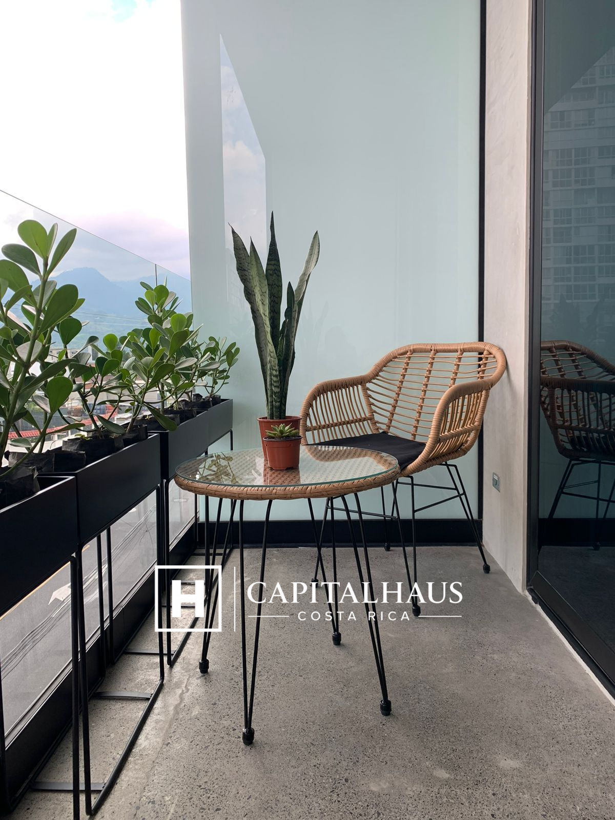 Cosmopolitan Tower 5